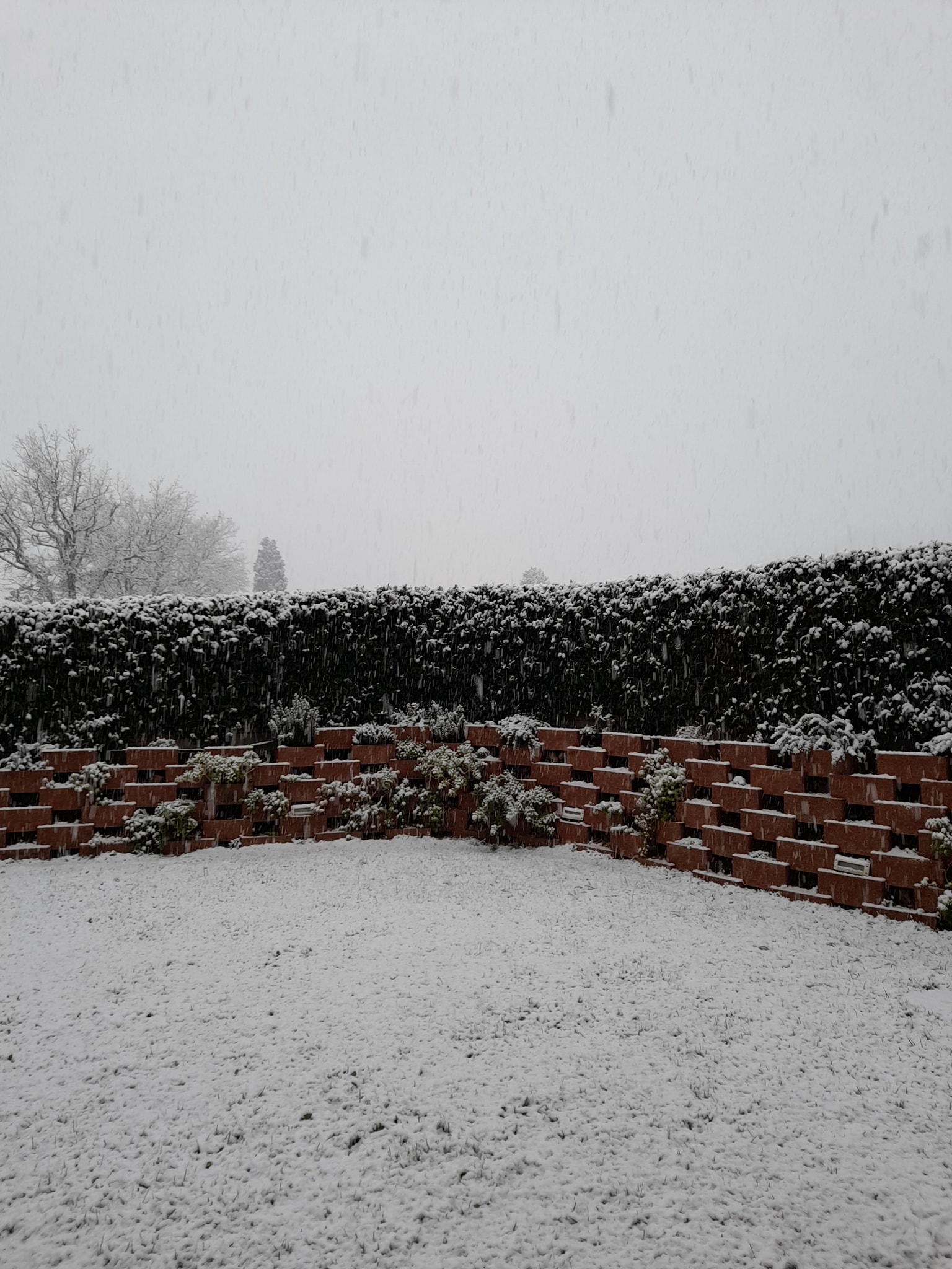 Neve Assisi 23 gennaio 2023