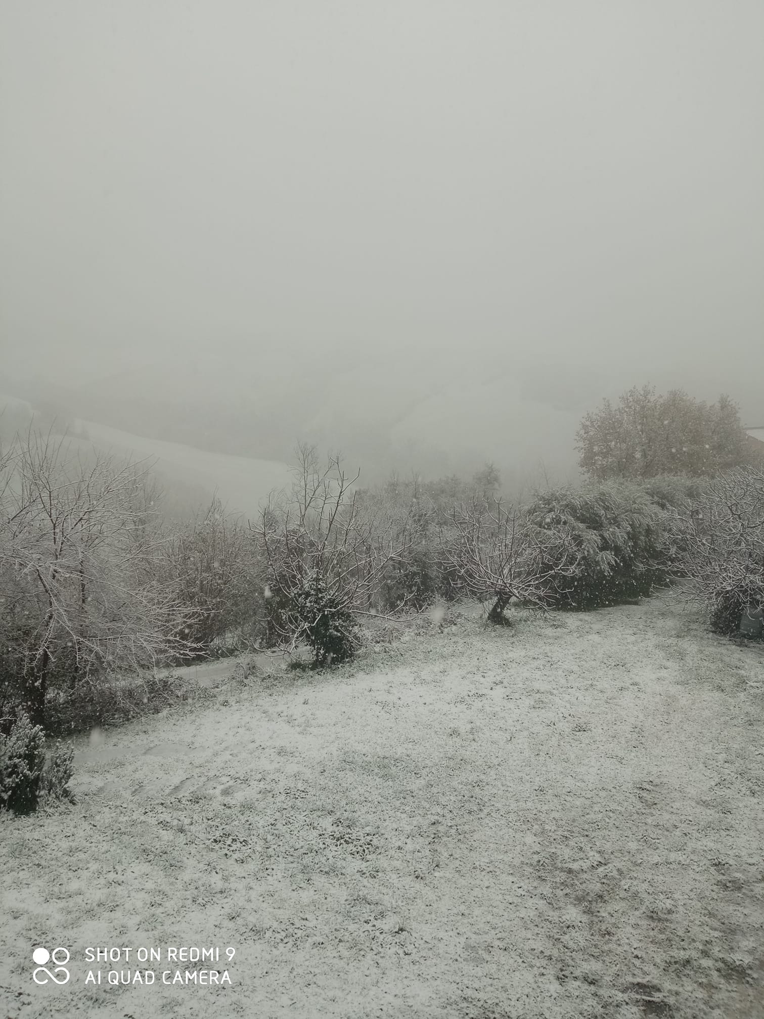 Neve Calvi dell'Umbria 23 gennaio 2023