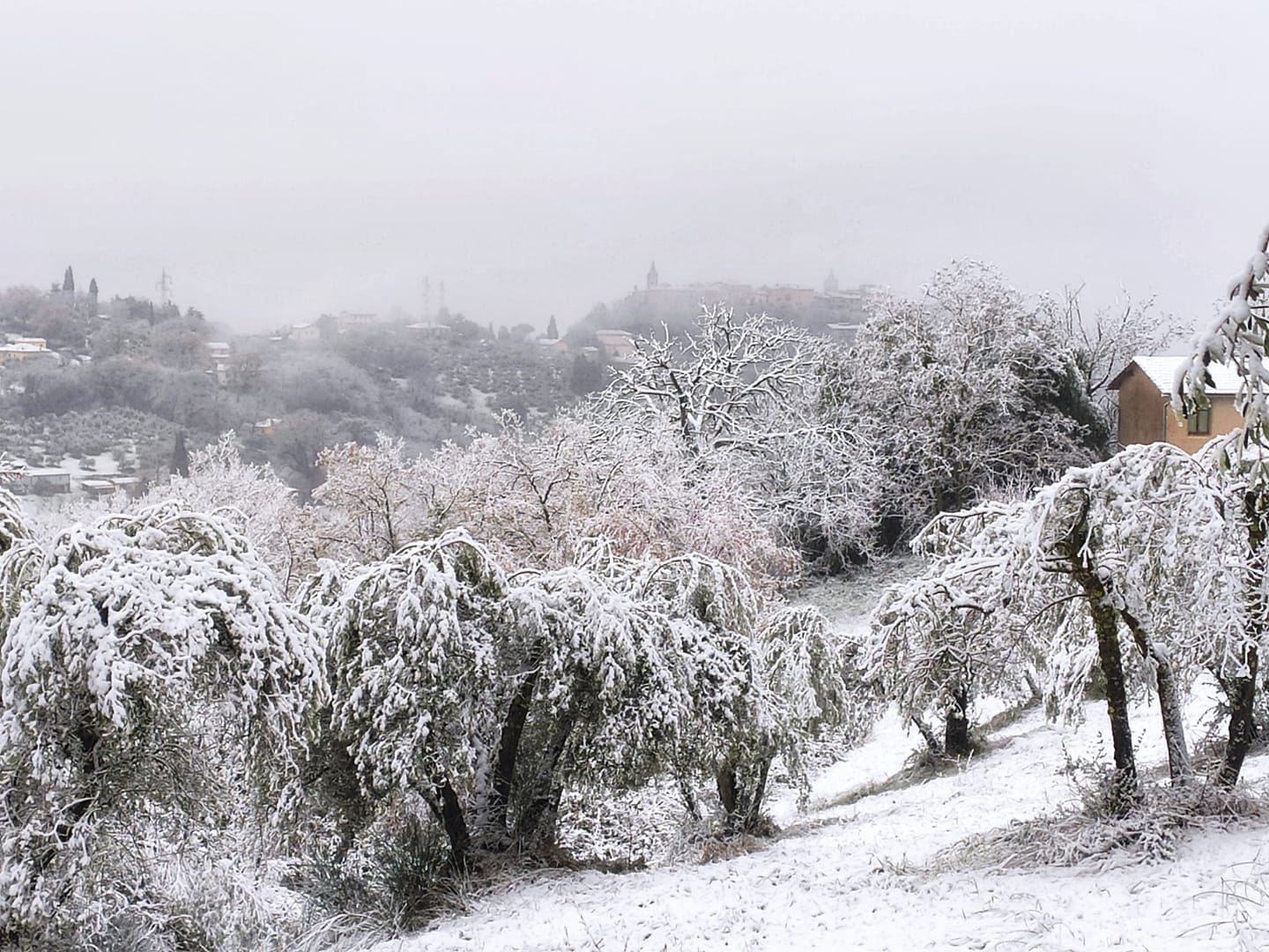 Neve Collescipoli 23 gennaio 2023