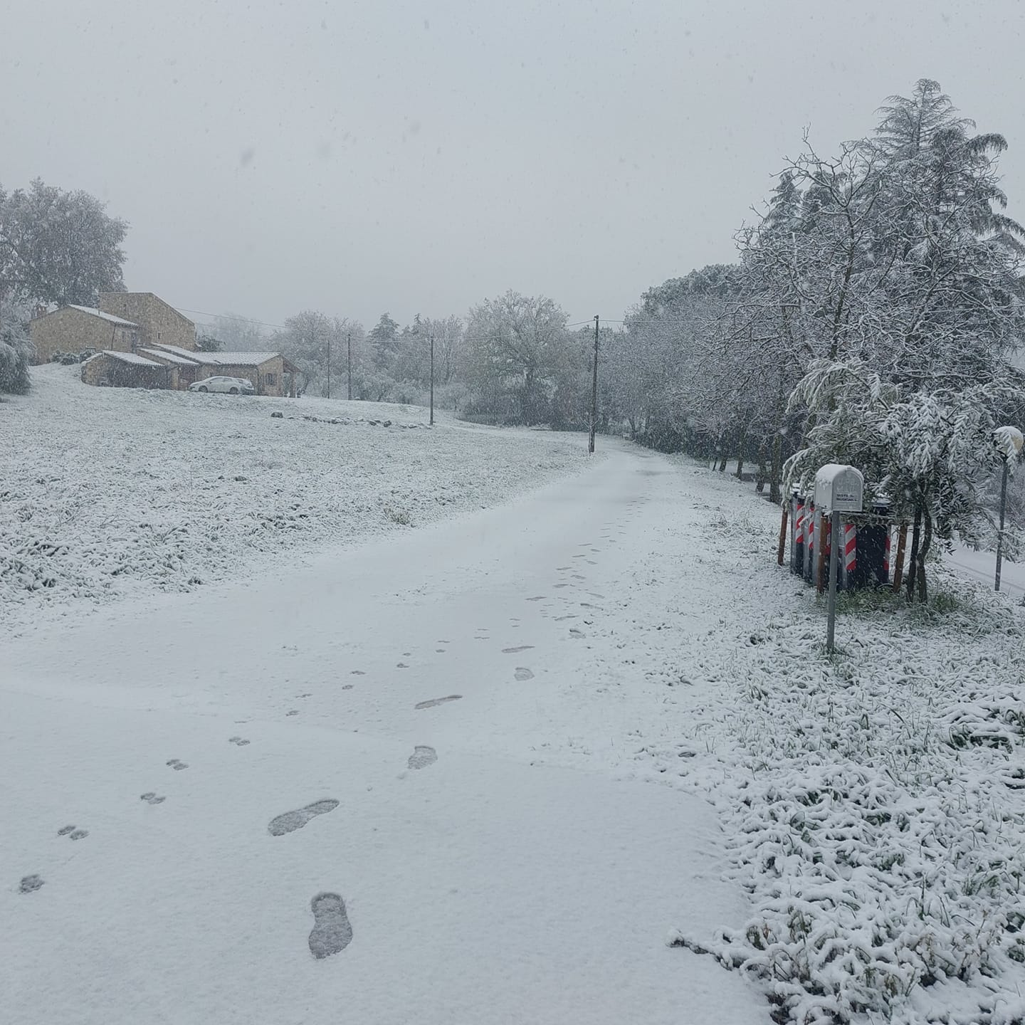Neve Lugnano in Teverina 23 gennaio 2023