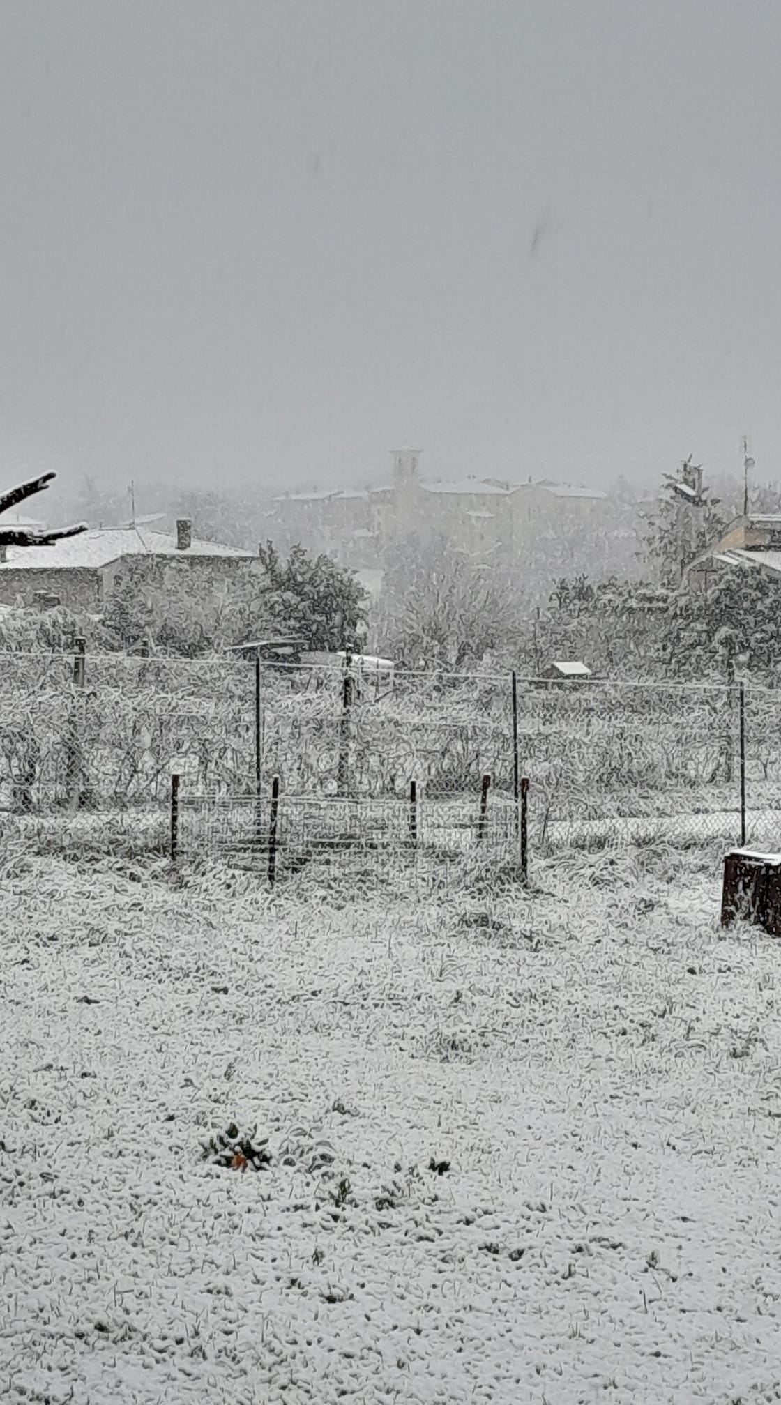 Neve Massa Martana 23 gennaio 2023