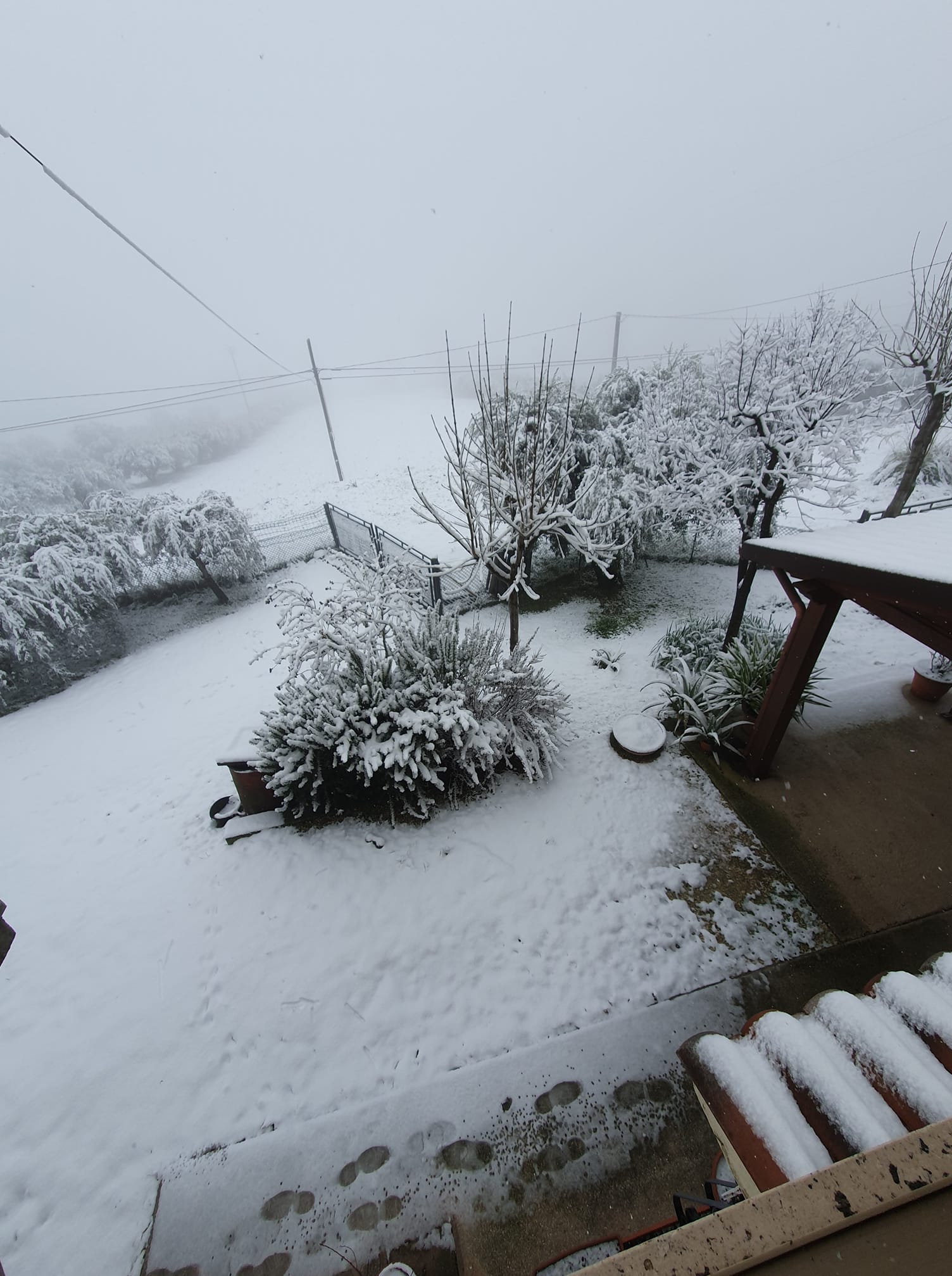 Neve Montecastrilli 23 gennaio 2023