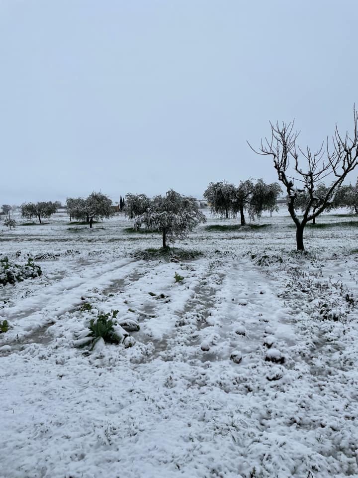 Neve Montefalco 2 23 gennaio 2023