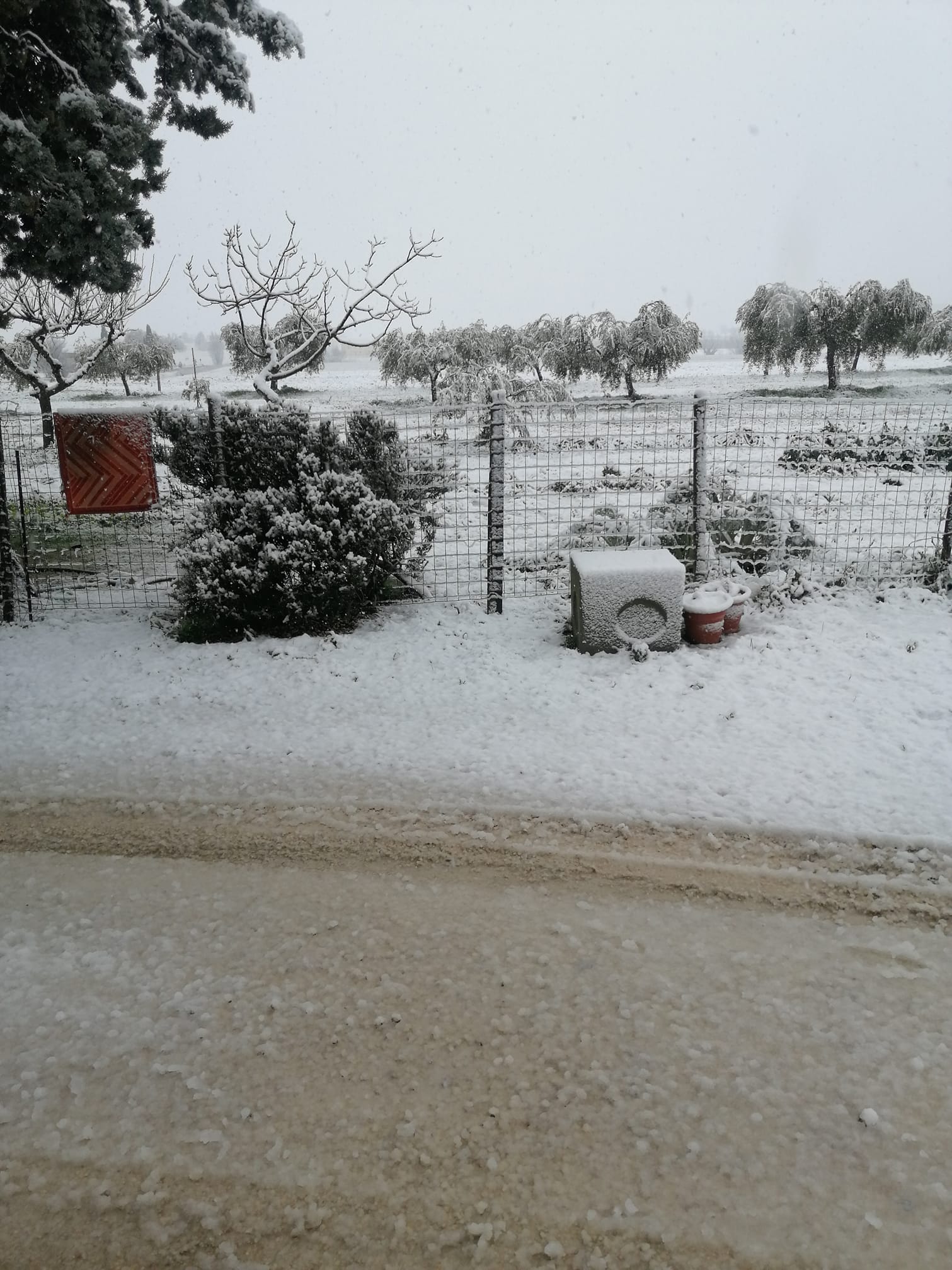 Neve Montefalco 23 gennaio 2023