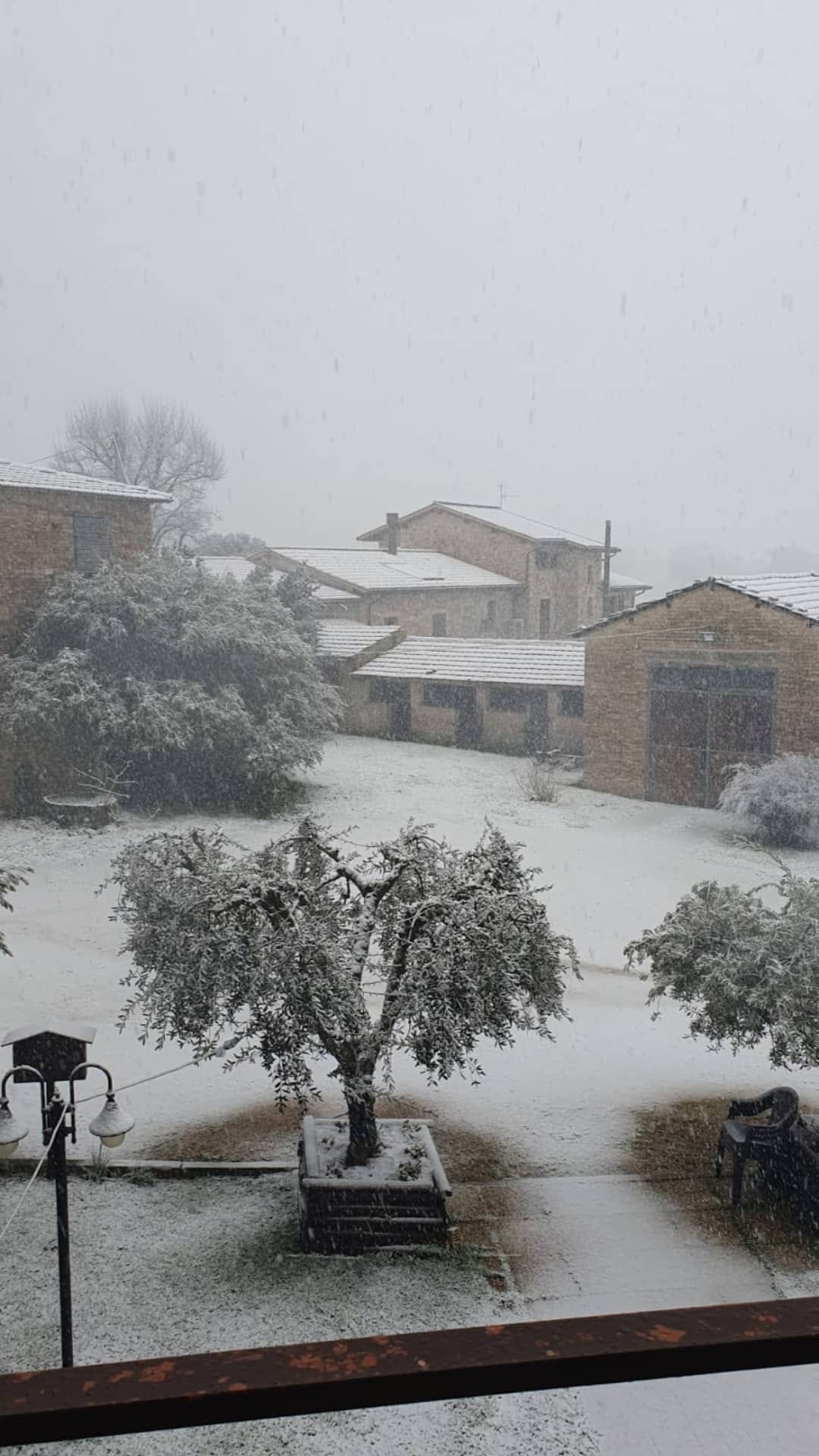 Neve Montefalco 23 gennaio 2023