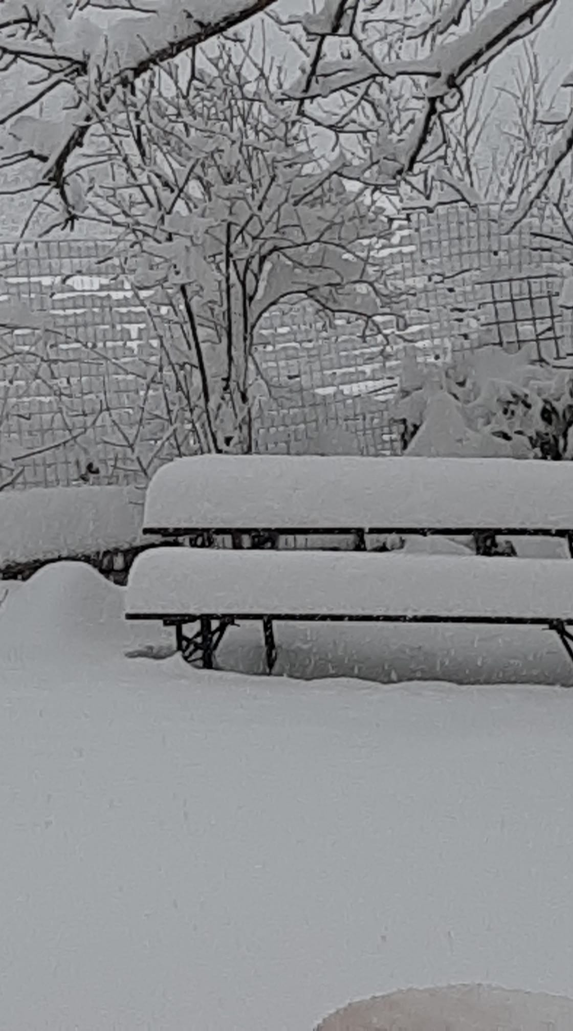 Neve-Monteleone-di-Spoleto-23-gennaio-2023