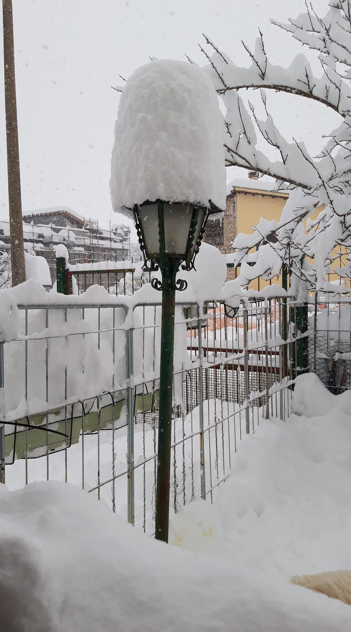 Neve Norcia 23 gennaio 2023