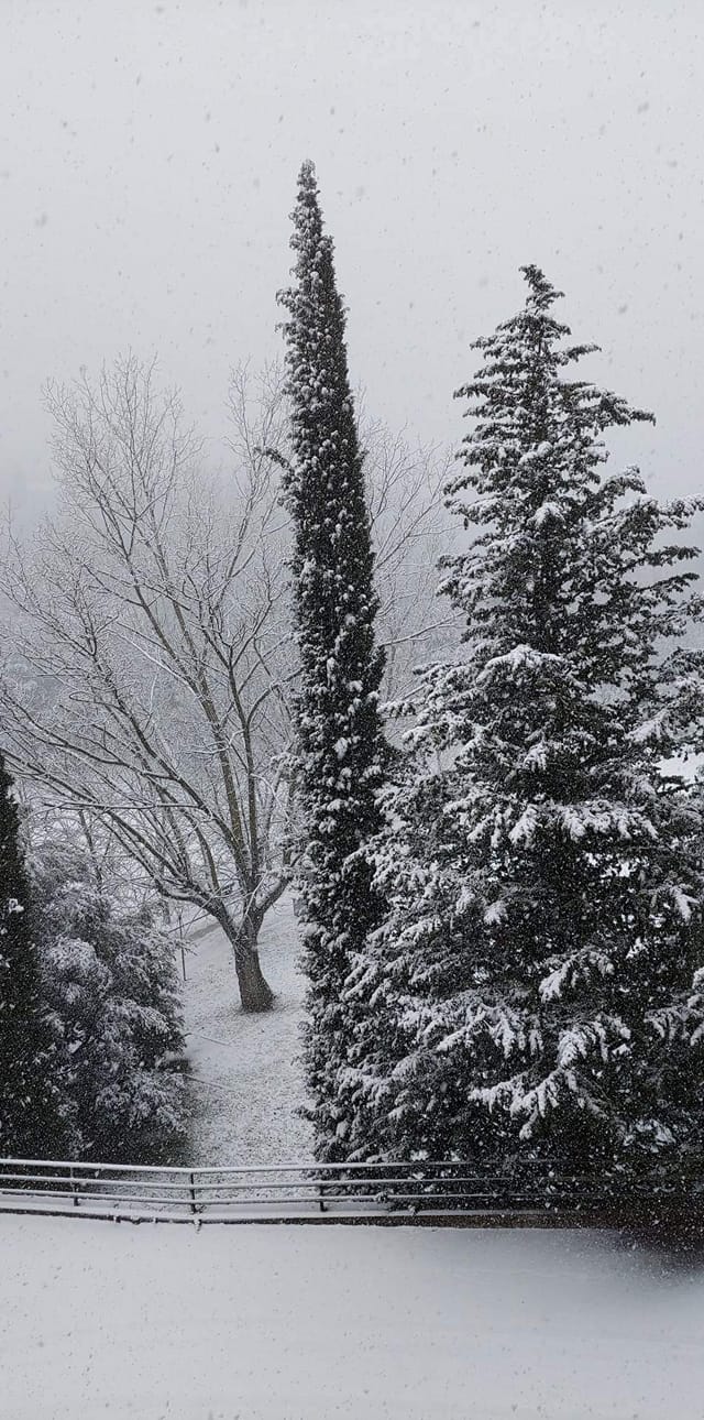 Neve Perugia 23 gennaio 2023