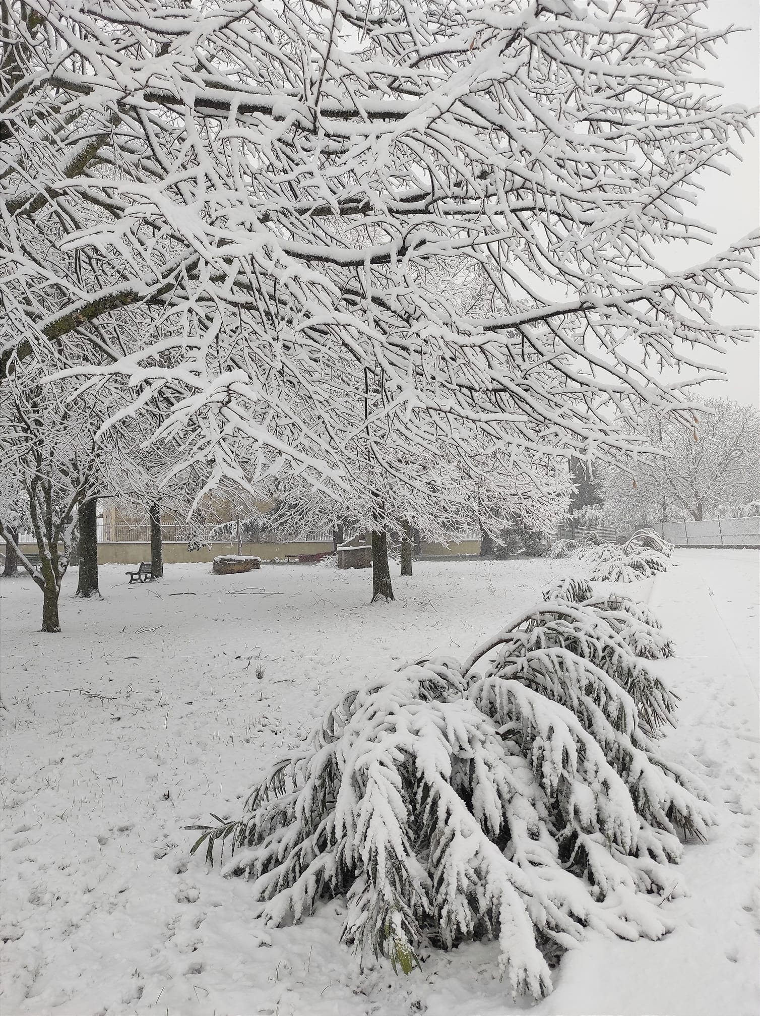 Neve San Terenziano 23 gennaio 2023