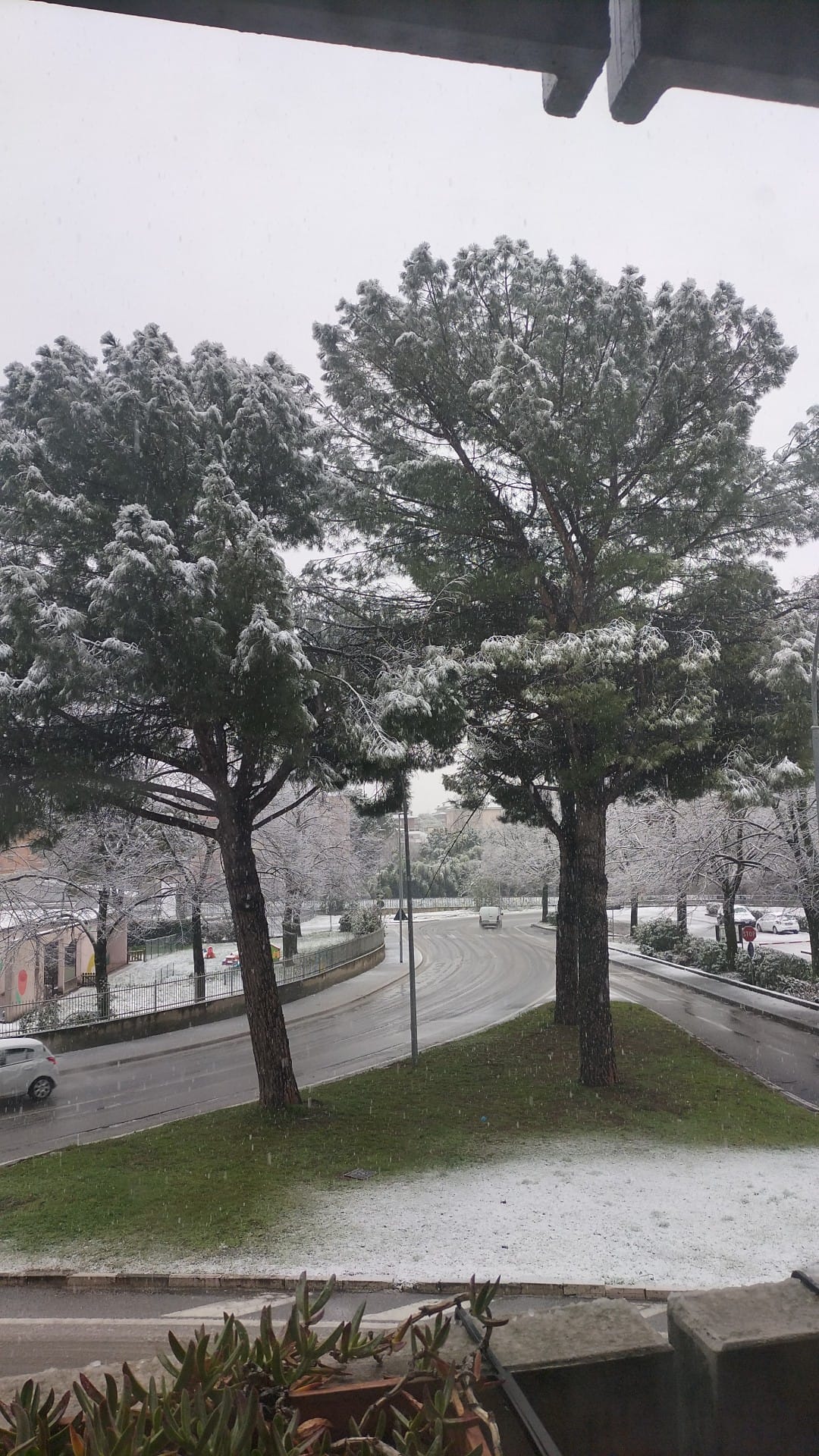 Neve Terni 23 gennaio 2023