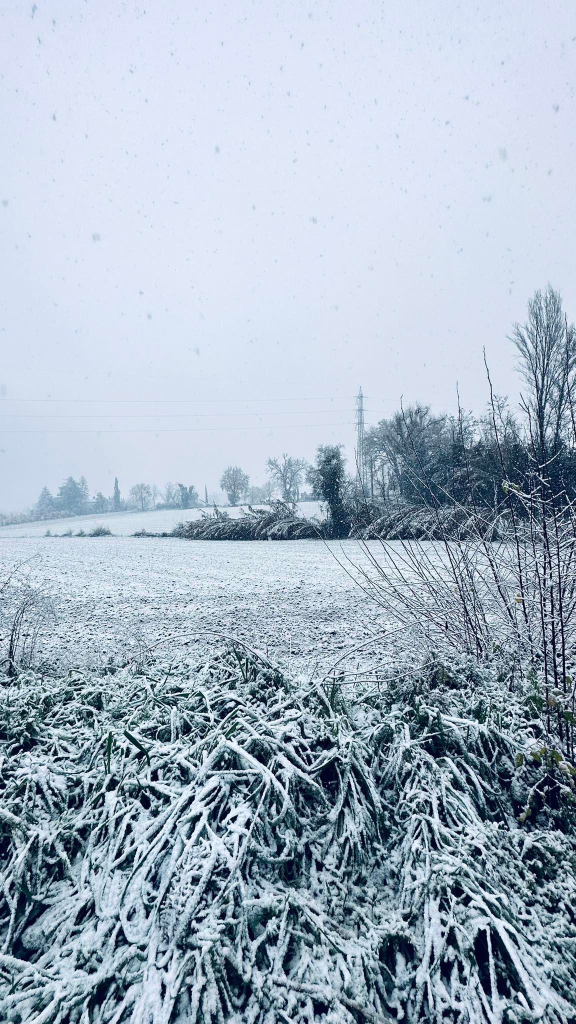 Neve Terni 23 gennaio 2023