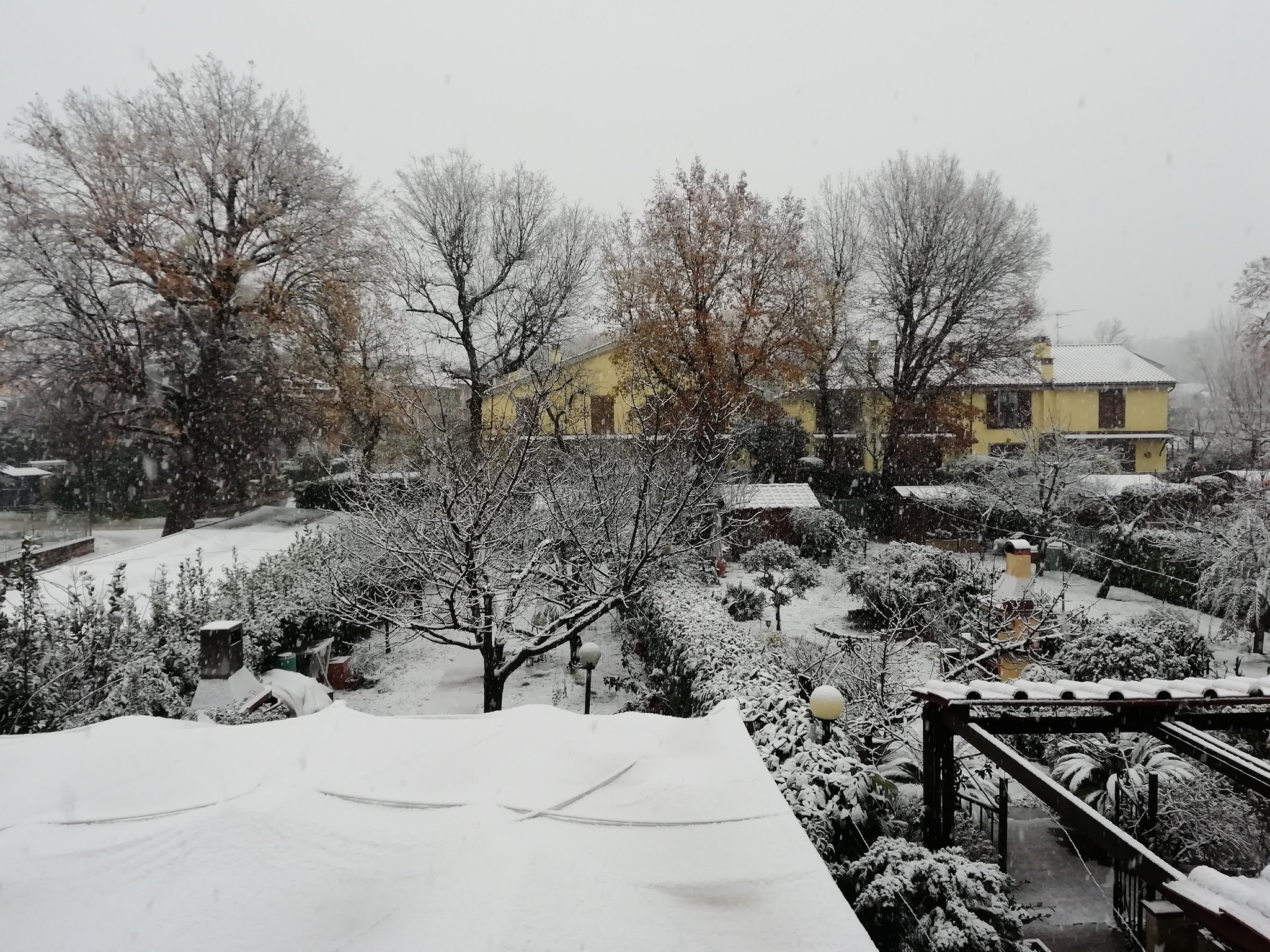 Neve Terni 23 gennaio 2023