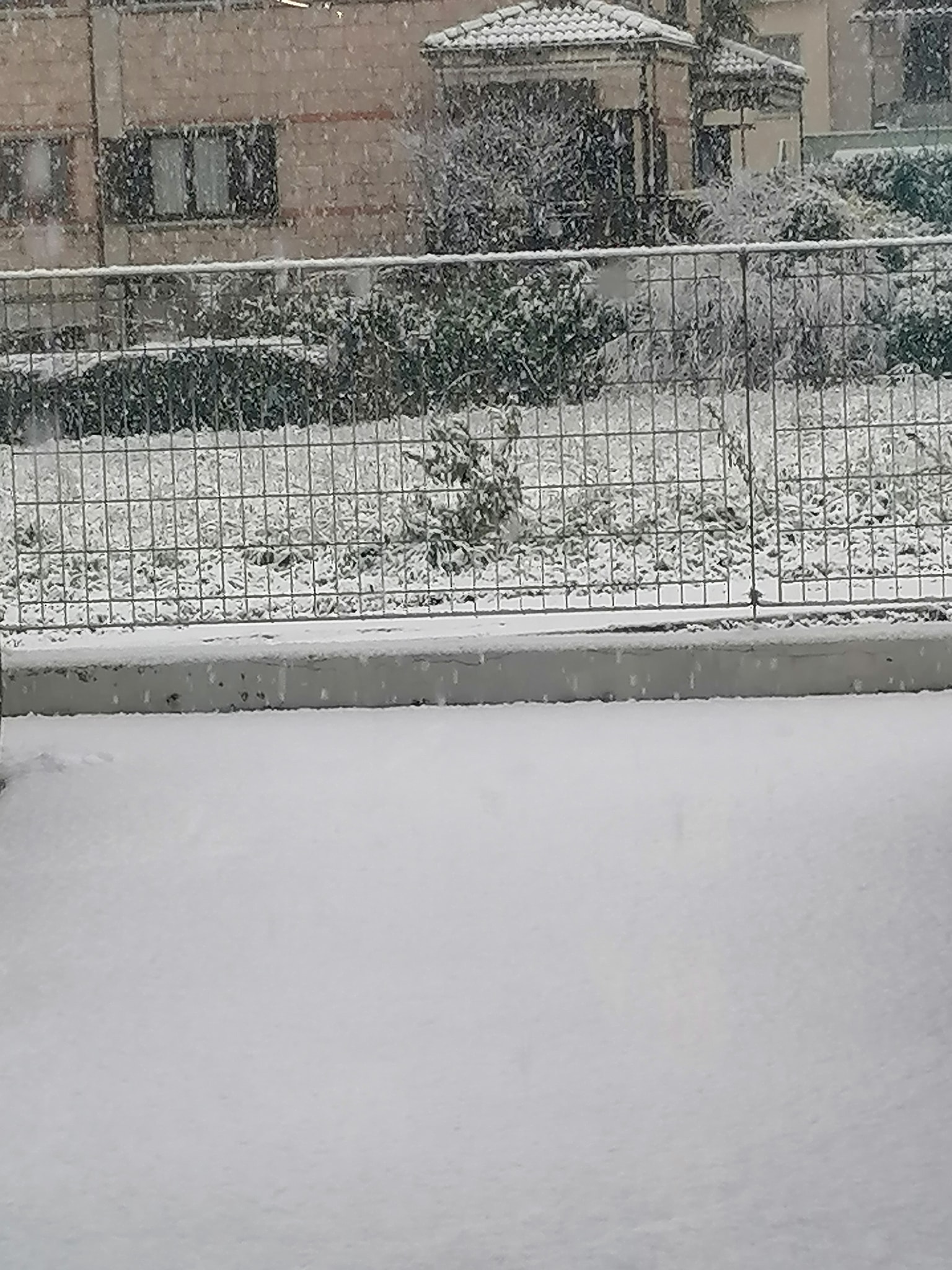 Neve Terni 23 gennaio 2023