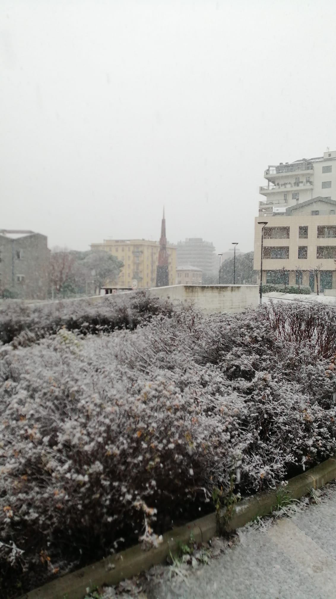 Neve Terni 23 gennaio 2023