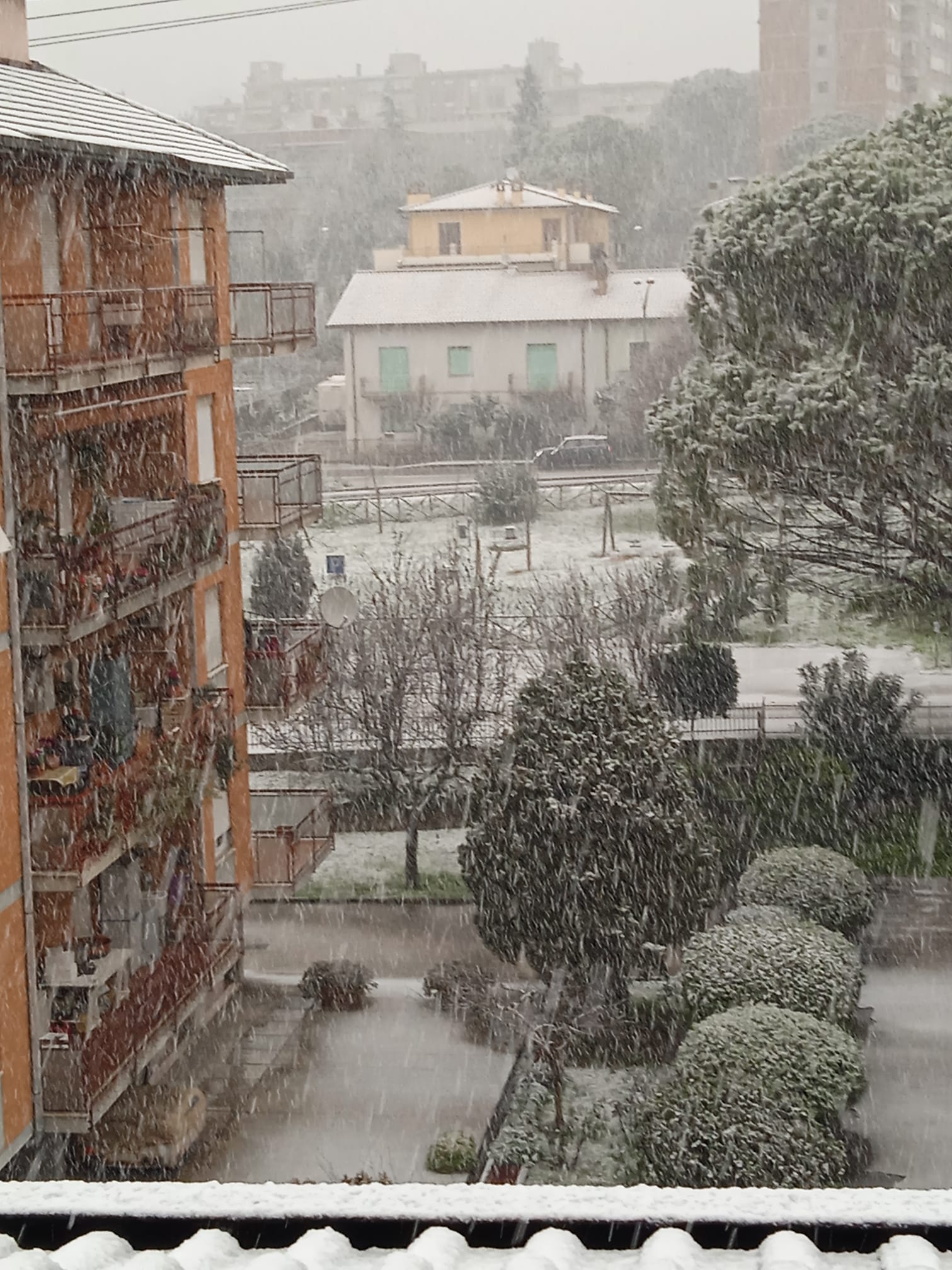 Neve Terni 3 23 gennaio 2023