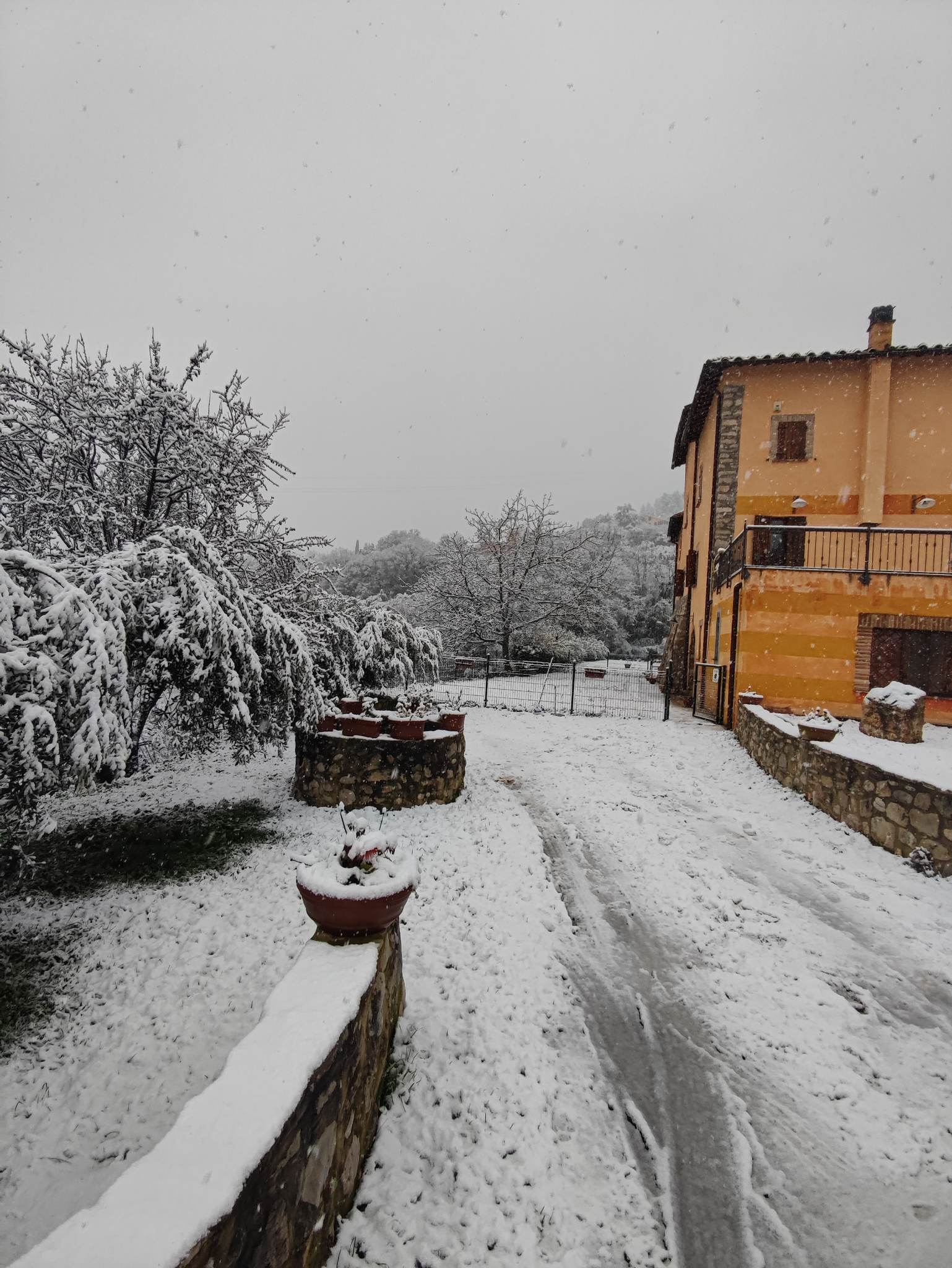 Neve Terni 7 23 gennaio 2023