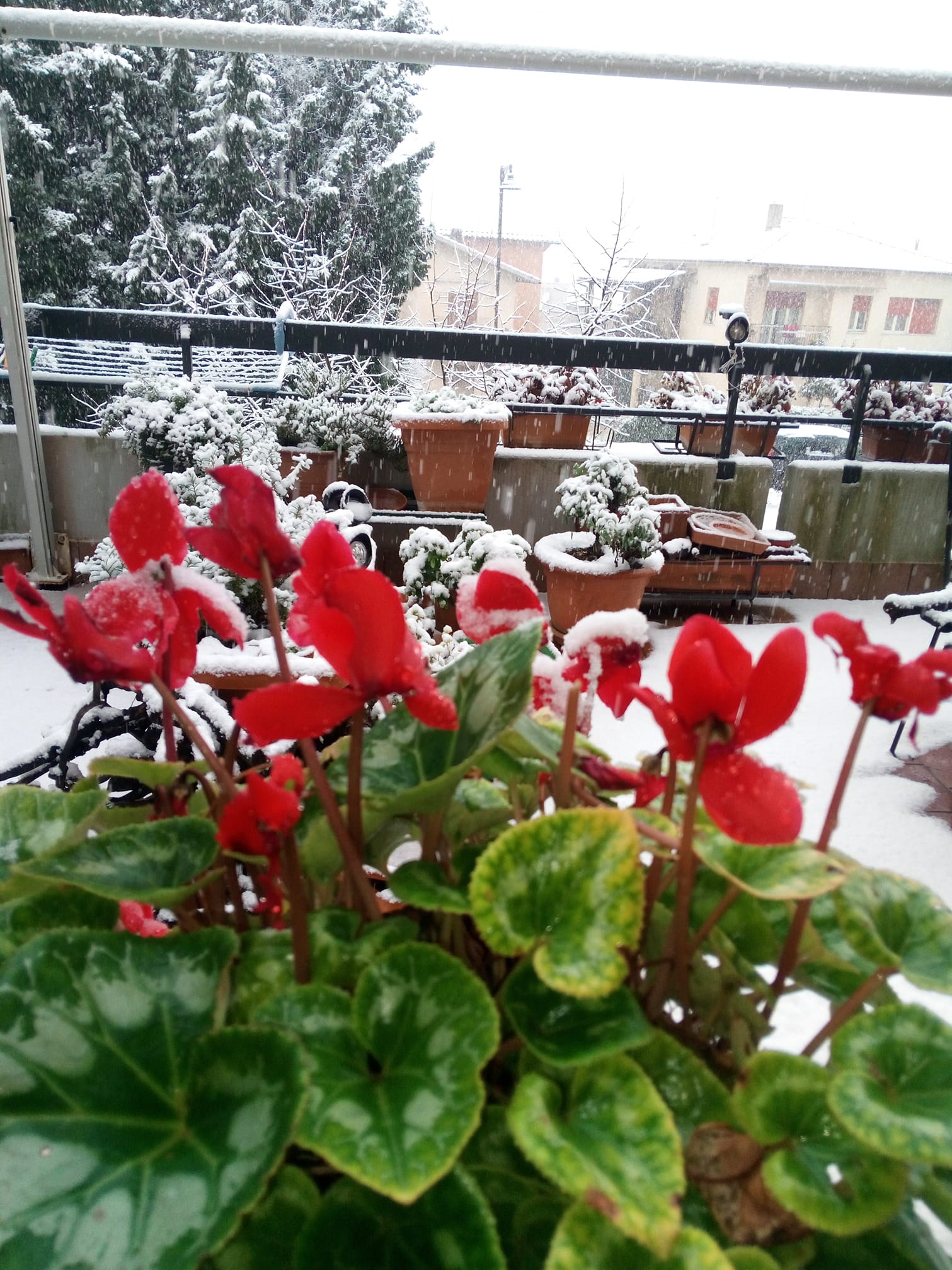 Neve Terni Amelia 23 gennaio 2023