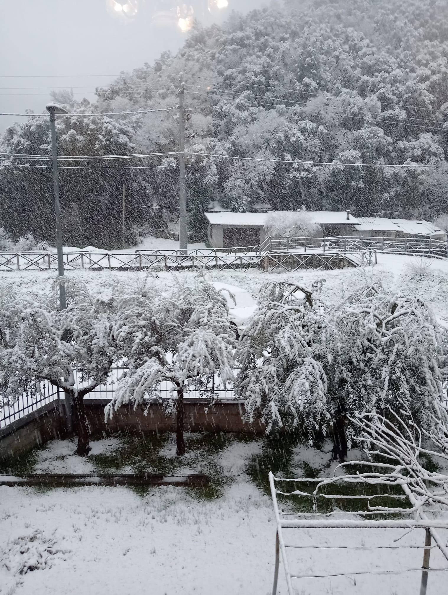 Neve Terni Arrone 23 gennaio 2023