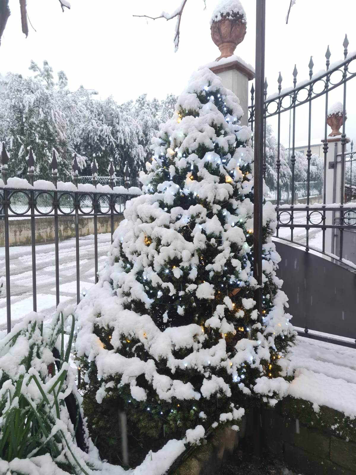 Neve-Terni-Arrone-23-gennaio-2023-1