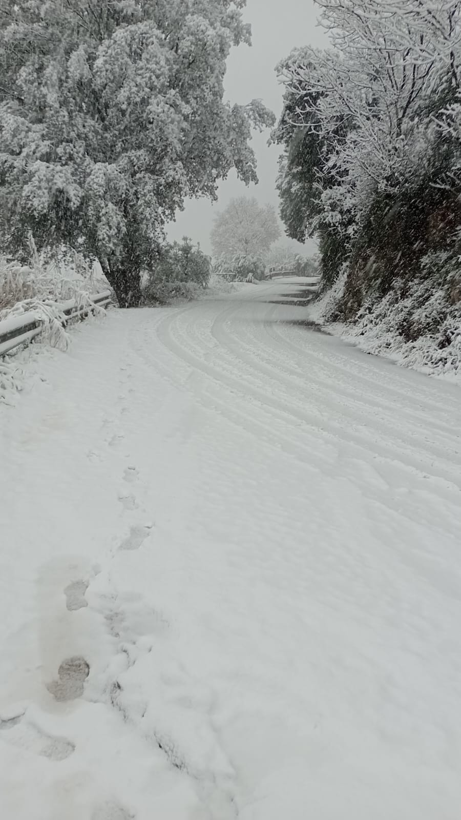 Neve Terni Cesi 2 23 gennaio 2023