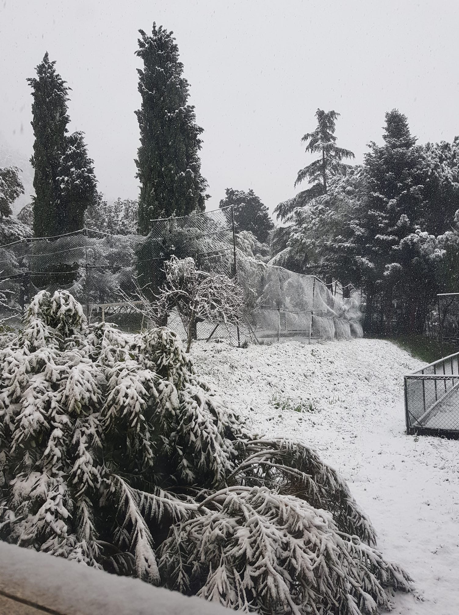 Neve Terni Cesi 23 gennaio 2023