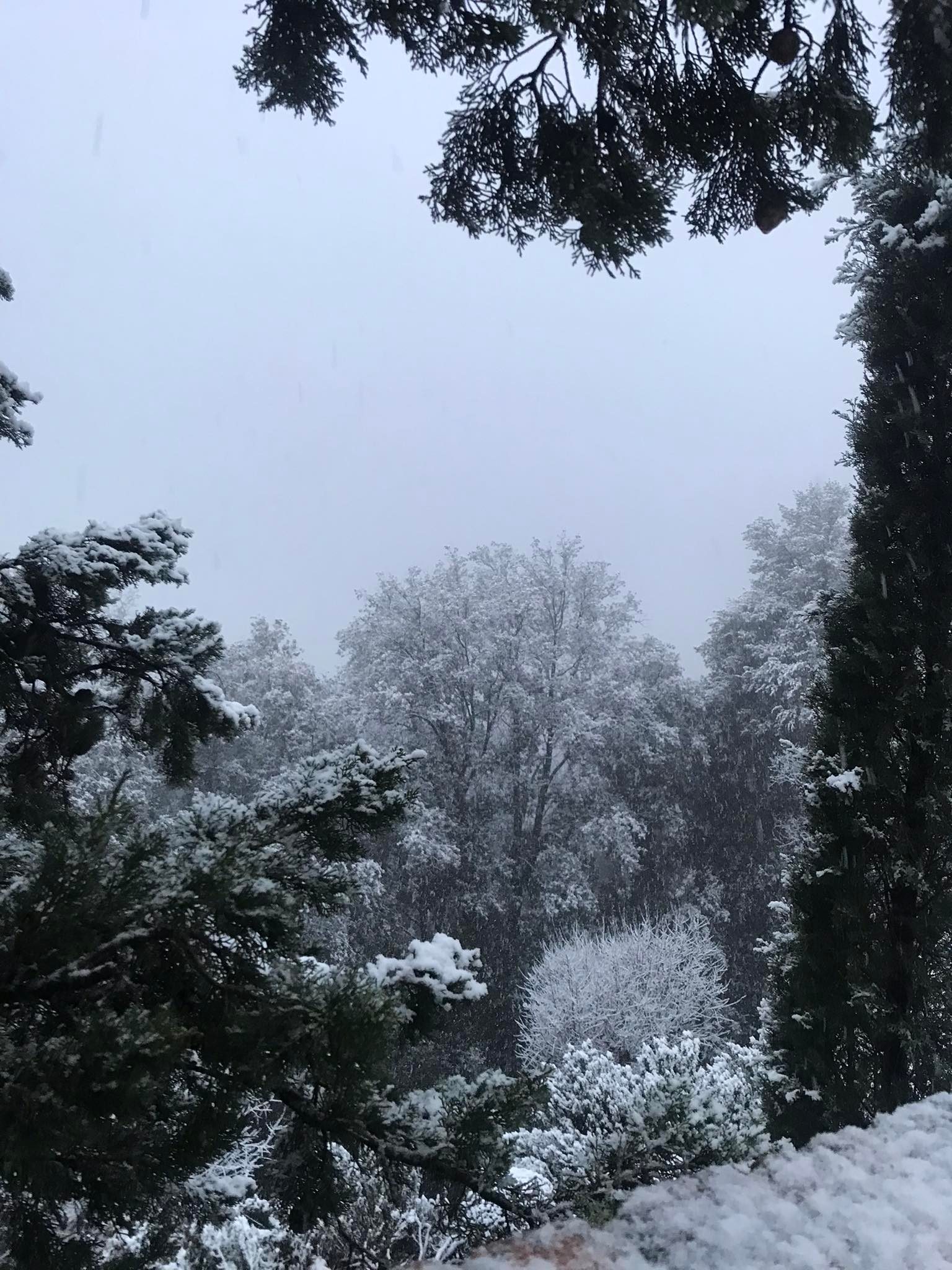 Neve-Terni-Cesi-3-23-gennaio-2023