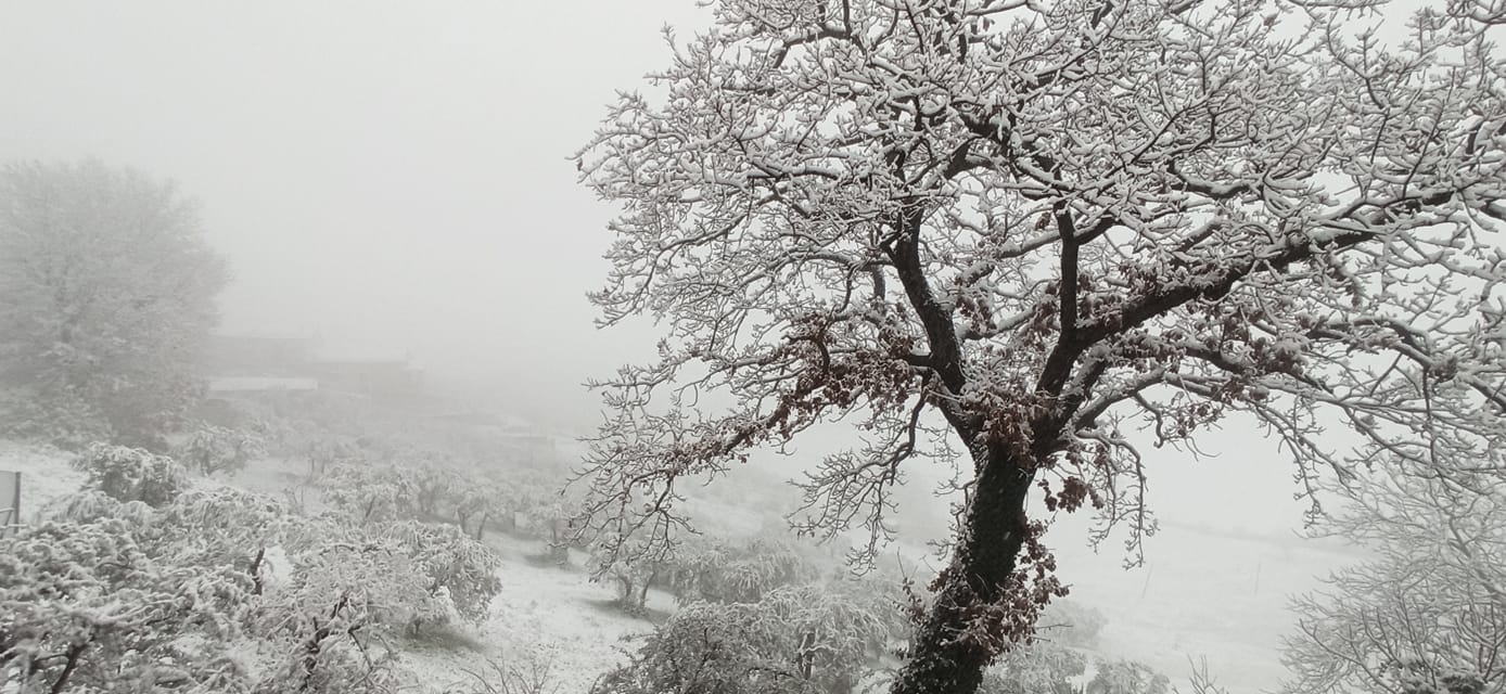 Neve Terni Collescipoli 23 gennaio 2023