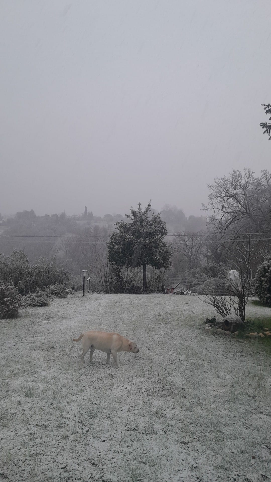 Neve-Terni-Collescipoli-23-gennaio-2023
