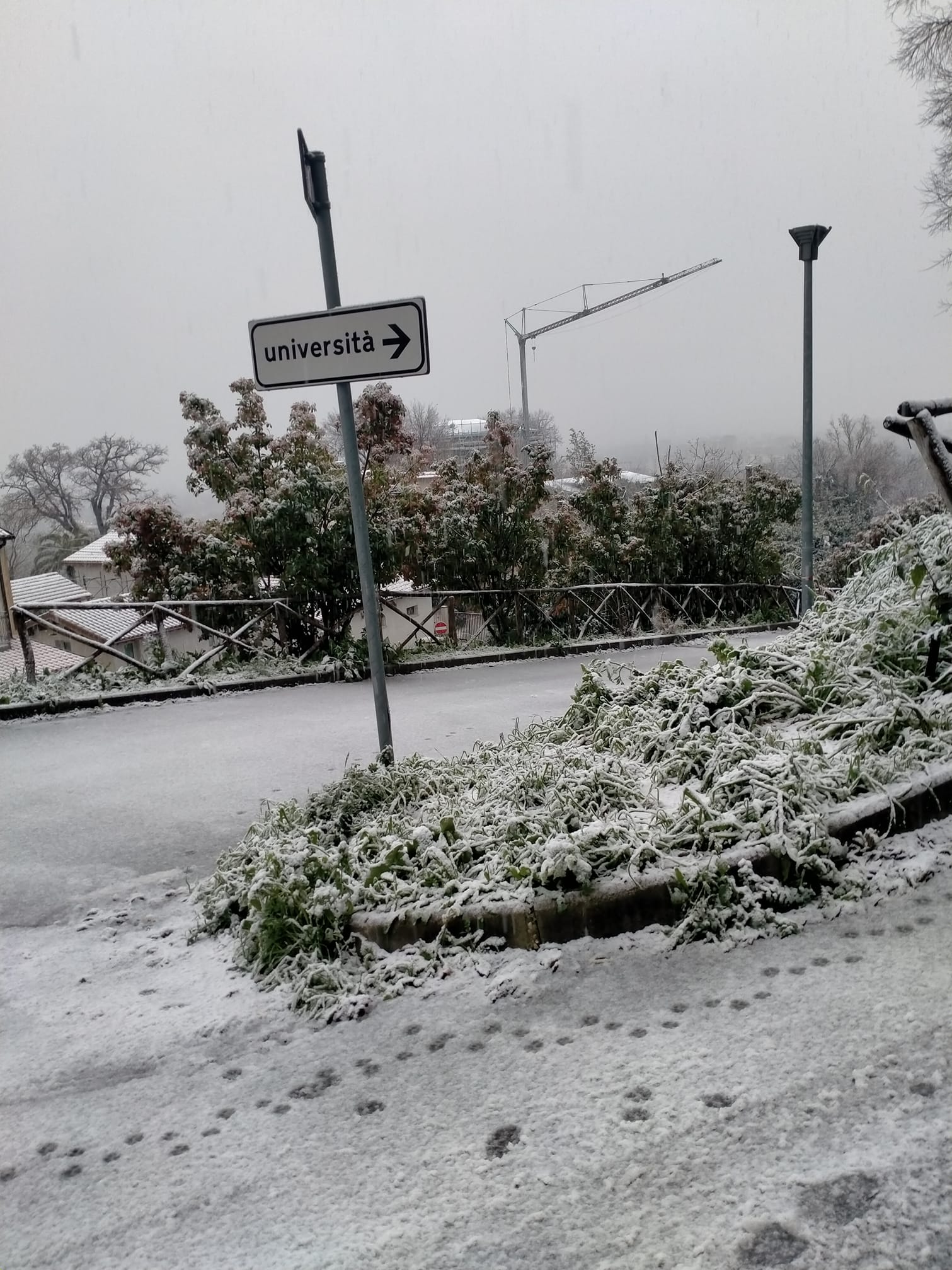 Neve Terni Collescipoli università 23 gennaio 2023