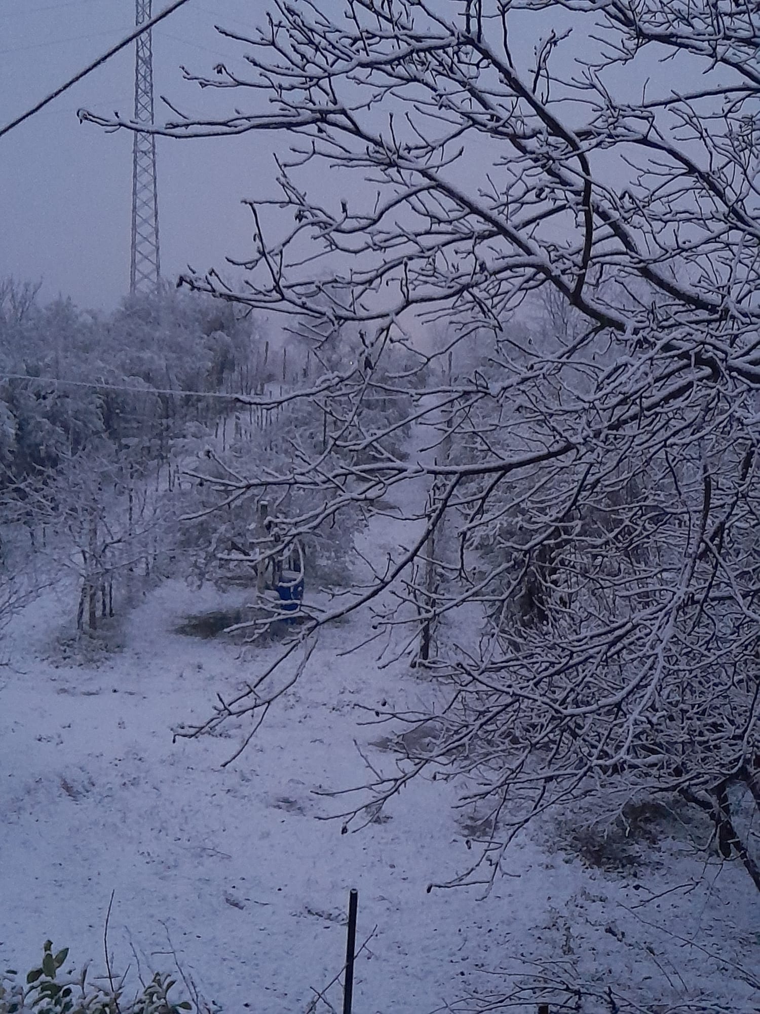 Neve-Terni-Ferentillo-23-gennaio-2023