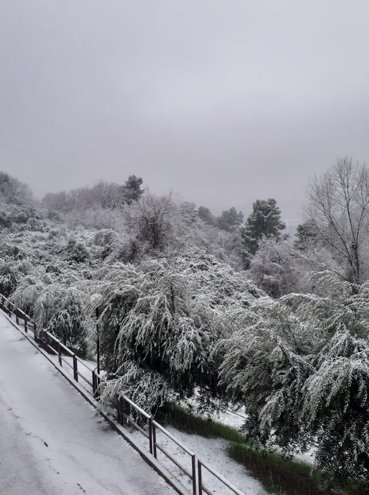 Neve-Terni-La-Romita-Terni-23-gennaio-2023