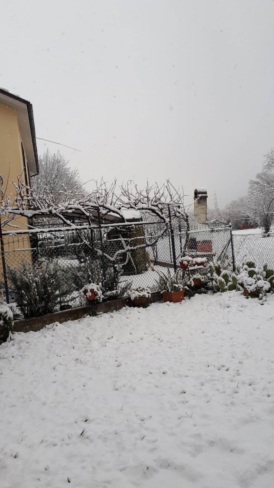 Neve Terni Marmore 3 23 gennaio 2023