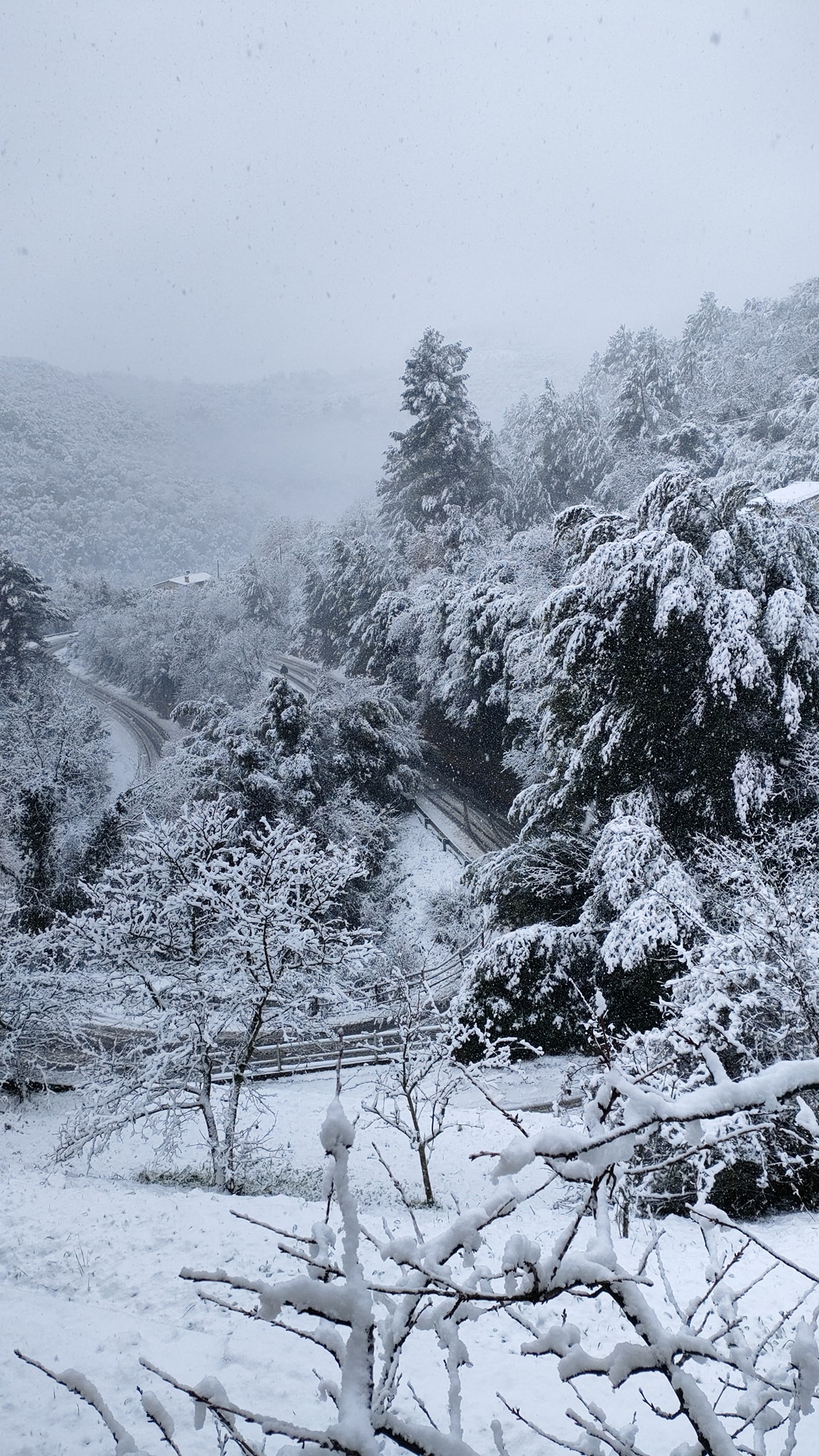 Neve Terni Montefranco 23 gennaio 2023