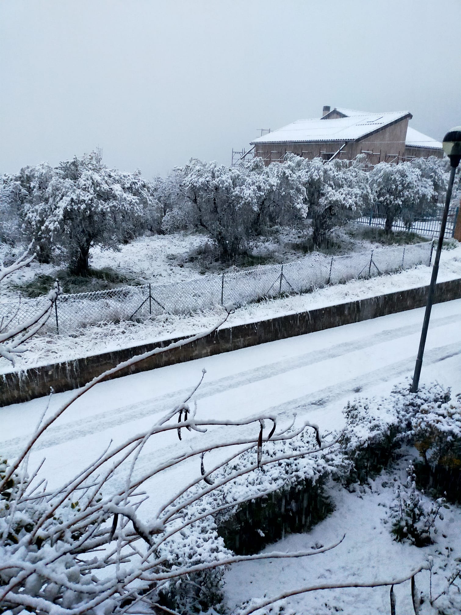 Neve-Terni-Montefranco-23-gennaio-2023