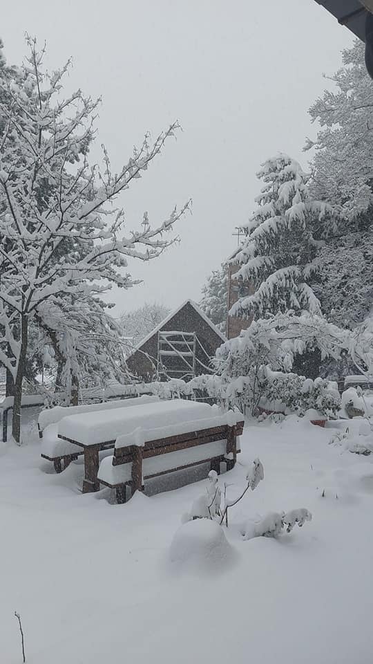 Neve Terni Polino 23 gennaio 2023