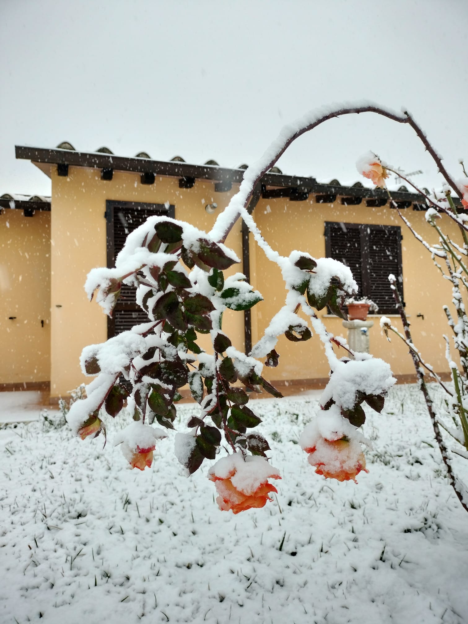 Neve Terni Sambucetole 23 gennaio 2023