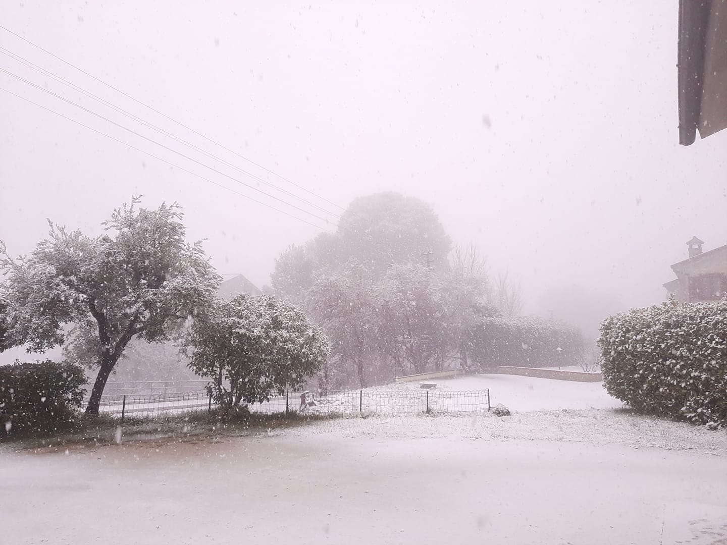 Neve Terni San Gemini 2 23 gennaio 2023