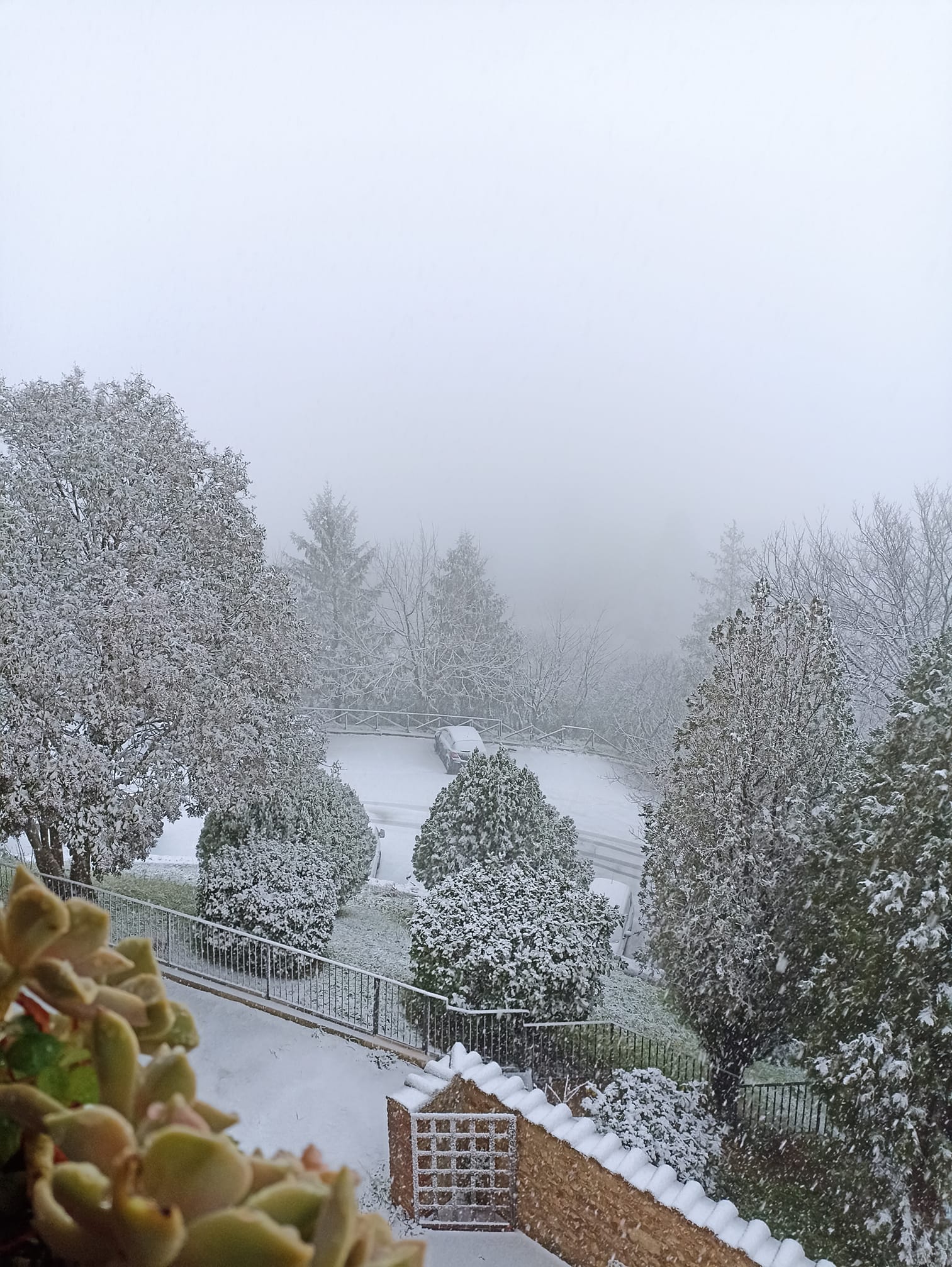 Neve Terni San Gemini 23 gennaio 2023