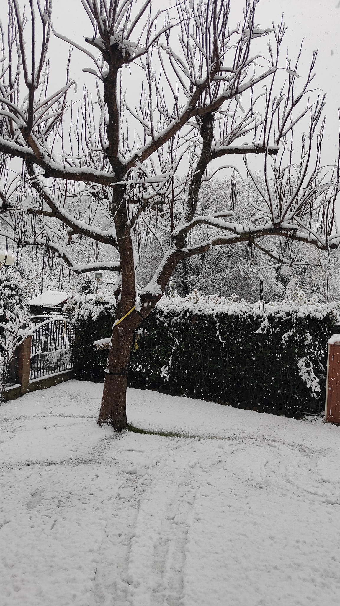 Neve Terni Stroncone 2 23 gennaio 2023