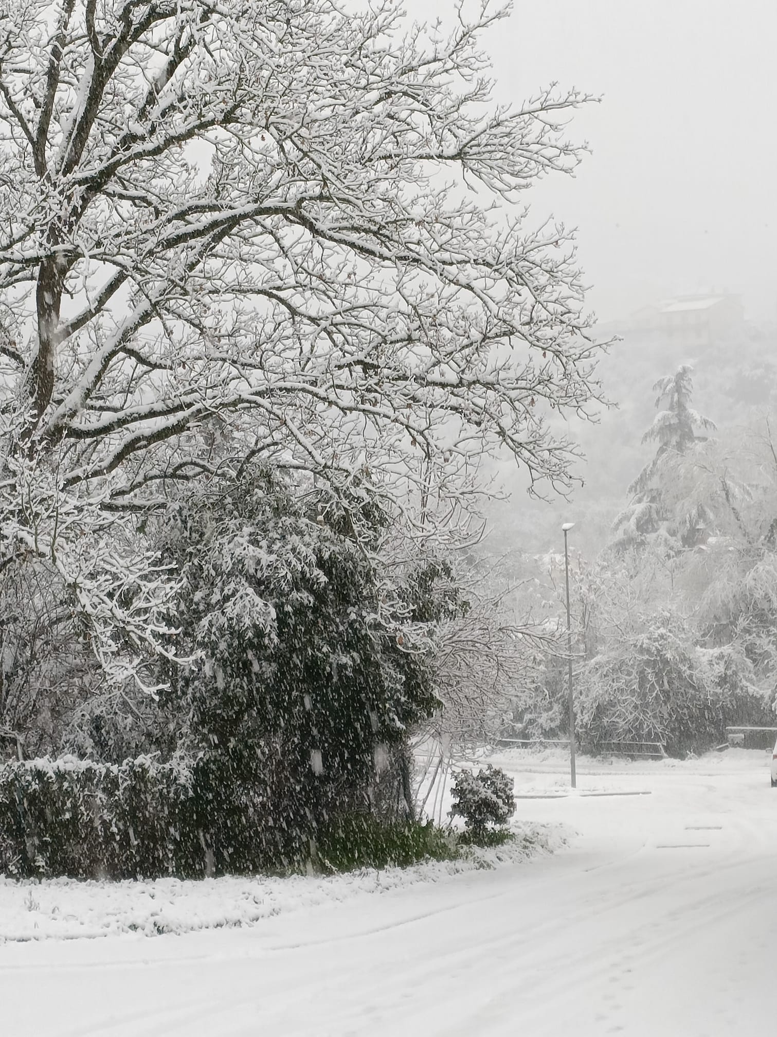 Neve Terni Stroncone 3 23 gennaio 2023