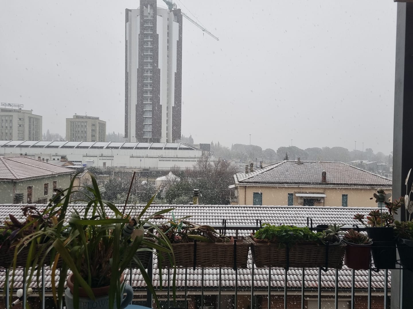 Neve Terni Tulipano 23 gennaio 2023