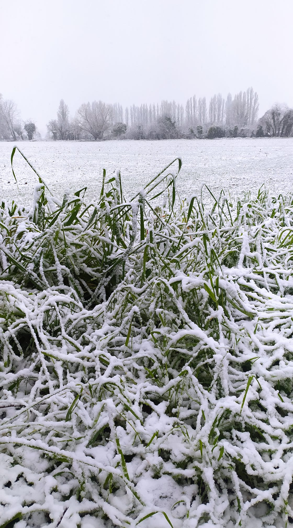 Neve Terni cimitero 23 gennaio 2023