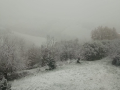 Neve Calvi dell'Umbria 23 gennaio 2023