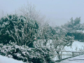 Neve Cesi 23 gennaio 2023