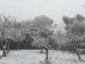 Neve Cesi 23 gennaio 2023