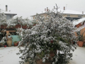 Neve Guardea 23 gennaio 2023