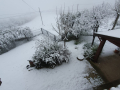 Neve Montecastrilli 23 gennaio 2023