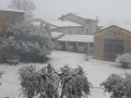 Neve Montefalco 23 gennaio 2023