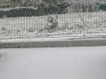 Neve Terni 23 gennaio 2023