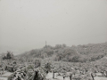 Neve Terni 5 23 gennaio 2023